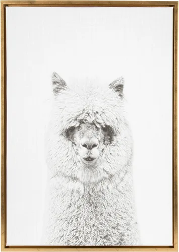 Kate and Laurel Sylvie Hairy Alpaca - Lienzo enmarcado con retrato en blanco y negro por Simon Te Tai, 23 x 33 pulgadas, dorado