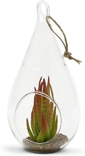 Miniatura 4 de WGV - Planta colgante de vidrio terrario a granel, ancho 3.5 pulgadas, altura 7 pulgadas, lágrima de bricolaje, maceta de aire para suculentas, luz