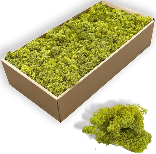 Miniatura 15 de Musgo artificial preservado de 1.1 libras para plantas en maceta, musgo verde fresco natural para manualidades, musgo artificial, orquídea floral
