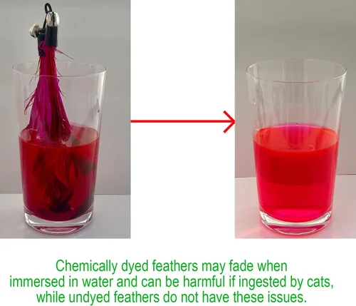 Miniatura 3 de Juguetes para gatos EcoCity - Juguetes de plumas para gatos sin teñido químico para gatos de interior - Incluyen varita para gatos y recambios