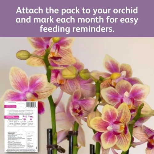 Miniatura 9 de Chrysal Gotas de Alimento para Orquídeas — Cuidado de Orquídeas — Un Paquete para un Suministro de un Año — Alimento Floral Concentrado para Todas
