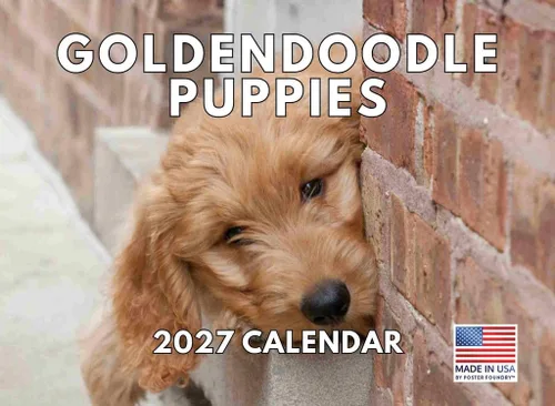 Miniatura 160 de Calendario de pared mensual 2025 Great Dane de 12 meses, fabricado en Estados Unidos
