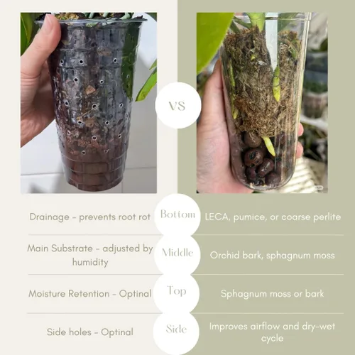 Miniatura 7 de Maceta Transparente de Bricolaje para Orquídeas – Macetas Tipo Taza de Té de 3.5 Pulgadas y Cubiertas Elegantes para Phalaenopsis, Suculentas