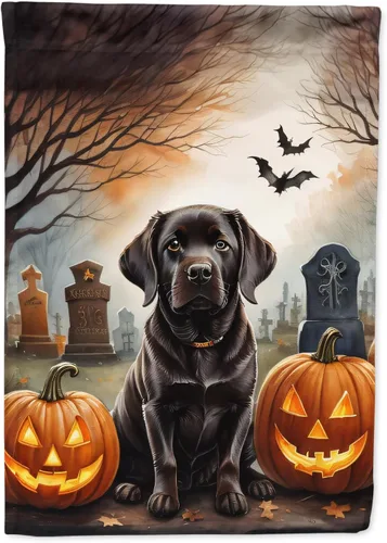 Miniatura 56 de Caroline's Treasures DAC2011GF - Bandera decorativa para jardín de Halloween con diseño de beagle para jardín, jardín, jardín, jardín, multicolor