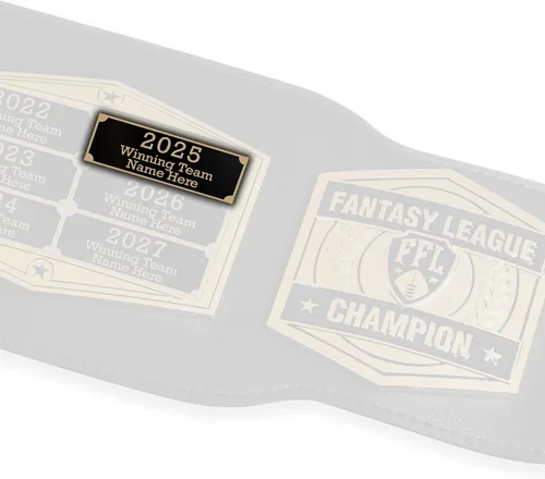 Miniatura 4 de TrophySmack Placa ganadora – Placa de nombre grabada personalizable – Premio de campeón de trofeo de fútbol de fantasía (plata o negro)