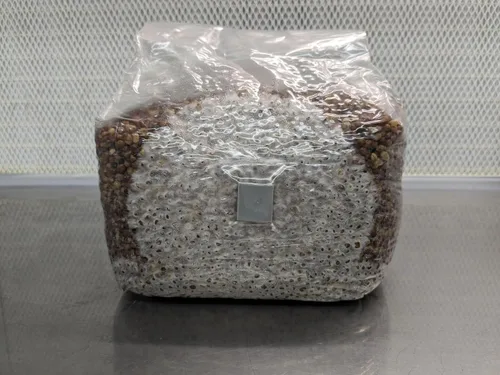 Miniatura 3 de Spawn-Tek - Bolsa de grano Milo/Sorghum de 3 libras