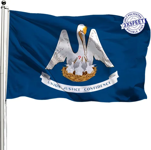 Miniatura 11 de AMZFLAG Wyoming State Flag 3x5 ft Outdoor, Heavy Duty WY Wyoming Flags with 2 Brass Grommets, Patriotic Double Sided State of Wyoming Flag 3 Ply