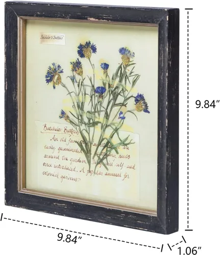 Miniatura 6 de NIKKY HOME Juego de Arte Botánico de Pared de 2 Piezas, Impresiones Botánicas Vintage con Marco de Madera, Cuadros de Plantas Florales, Póster