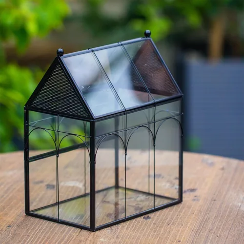 Miniatura 5 de NCYP Recinto de vidrio con orificios de ventilación para insectos, arañas saltadoras, 7.5 x 4.9 x 9 pulgadas, pequeña puerta cerrada de apertura