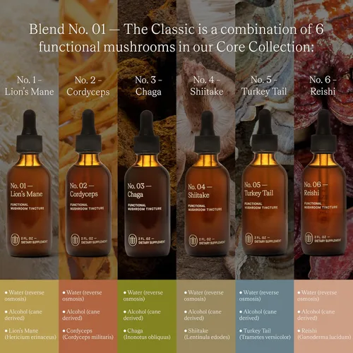 Miniatura 3 de Mezcla de mezcla de hongos No.1-6 Reishi, Chaga, melena de león, cola de pavo, cordyceps y shiitake, refuerzo de inmunidad de apoyo natural, aumenta