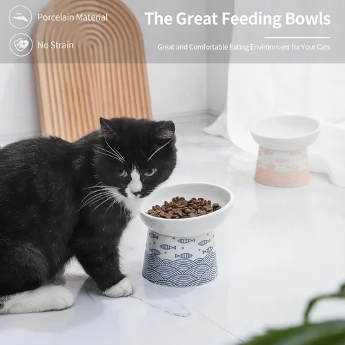 Miniatura 2 de Cuencos elevados de cerámica para gatos, juego de cuencos elevados inclinados para comida y agua, plato de porcelana libre de estrés para gatos