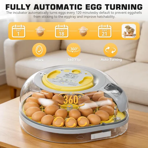 Miniatura 3 de IBKINXX Incubadora de 26 huevos para incubar huevos con guía de voz inteligente, vista de 360° con control automático de temperatura y humedad, giro