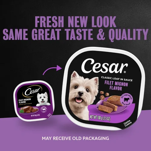 Miniatura 2 de Cesar - Comida húmeda clásica para perros en salsa sabor a filete miñón, comida húmeda para perros, bandejas fáciles de pelar de 3.5 onzas, 24
