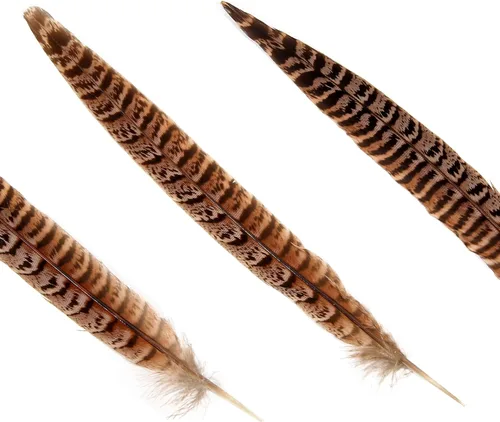 Miniatura 2 de 20 plumas de faisán hembra, plumas naturales de cola de cuello anillado, 6-8 pulgadas, 15-20cm para manualidades, hogar, boda, fiesta, actuación