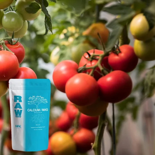 Miniatura 4 de RAW Calcio/Mag 2oz - Combo esencial para la salud vegetal - Aumenta la fuerza celular y la absorción de nutrientes