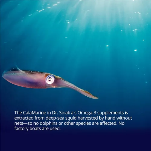 Miniatura 6 de Dr. Sinatra CalaMarine Omega 3 Suplemento con DHA y EPA, grado clínico para la salud cerebral, cardíaca y ocular, 60 cápsulas blandas