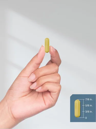Miniatura 8 de Horbäach Quercetina 1000mg 100 Cápsulas con 100 mg de Zinc Fórmula de alta potencia Suplemento sin OMG, sin gluten