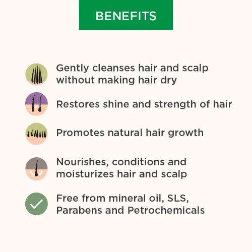 Miniatura 6 de Dhathri Dheedhi Hair Care Champú de hierbas 6.8 fl oz