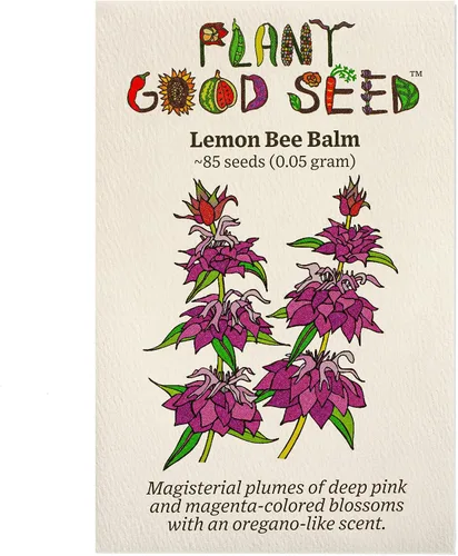 Plant Good Seed Semillas de bálsamo de abeja de limón, paquete de 85, semillas tradicionales para plantar hierbas, suministros de jardinería, jardín