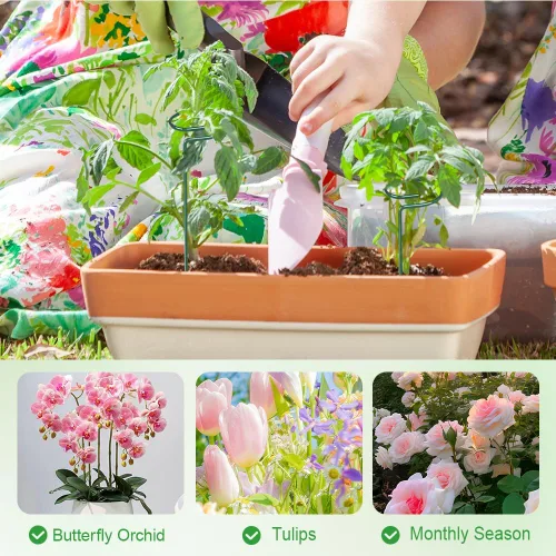 Miniatura 6 de Paquete de 4/8/12 estacas para plantas, estacas de soporte para plantas de 16/24/36 pulgadas, nuevo soporte de palos para plantas 2025, estacas