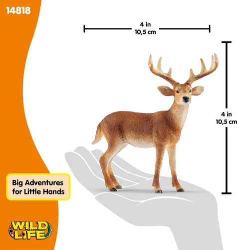 Miniatura 5 de Schleich Wild Life, Figura de Animal, Juguetes de Animales para Niños y Niñas de 3-8 Años de Edad, Venado de Cola Blanca, Edades 3+