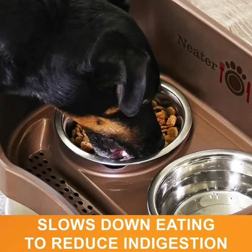 Miniatura 4 de Neater Pet Brands - Tazón de acero inoxidable para alimentación lenta para perros que comen rápido de raza grande, comedero de metal para perros