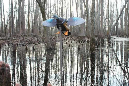 Miniatura 3 de MOJO Outdoors - Premium Waterfowl and Duck Hunting Decoys