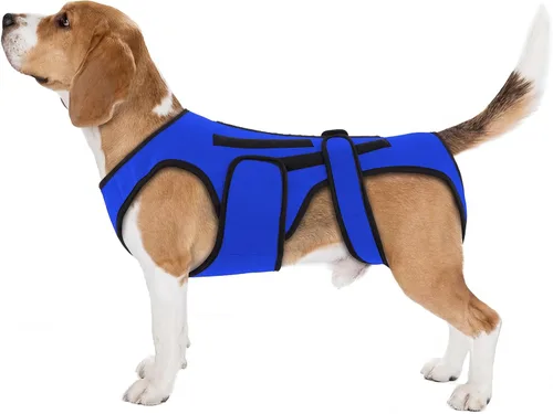 Miniatura 10 de Soporte de espalda para perros con artritis, soporte de espalda de movilidad IVDD para mascotas, fuerte apoyo de estabilidad de la columna vertebral