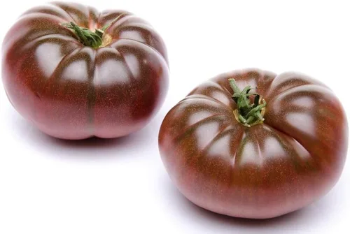 Miniatura 5 de Semillas Black Prince Tomate Indeterminado Variedad Rara Verdadero Tomate Siberiano Sin OGM Heirloom