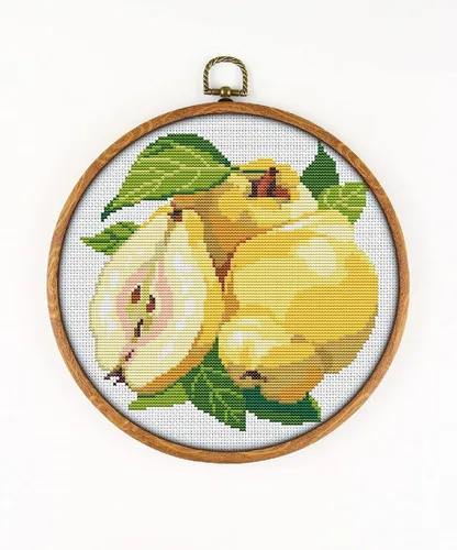 Quince CS1023 - Kit de punto de cruz contado # 2. Juego de hilos, agujas, tela AIDA, enhebrador de agujas, cortaúñas para bordar y patrón de color