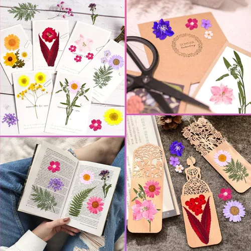 Miniatura 2 de Flores secas prensadas para resina, flores prensadas reales, hojas secas, kit de hierbas naturales a granel para álbumes de recortes, manualidades
