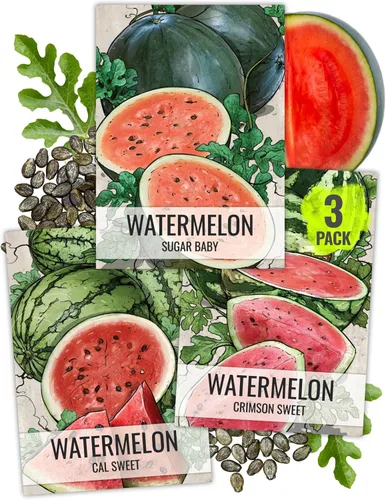Seed Needs Semillas de sandía para plantar frutas, semillas de melón sin OMG y agua sin tratar para plantar un jardín cultivado en casa al aire