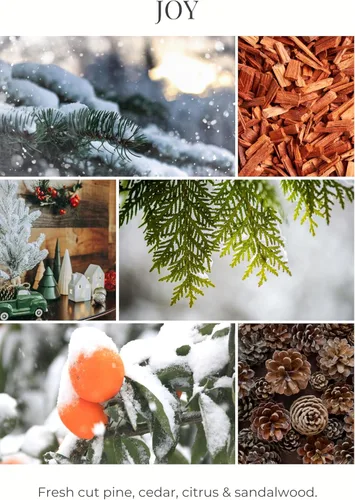 Miniatura 2 de ECO CANDLE CO. Frosted Jar Holiday Candle Sparkle Joy, 8 onzas, aromas de pino, cedro, cítricos y sándalo, pino, cedro, cítricos y sándalo - 100%