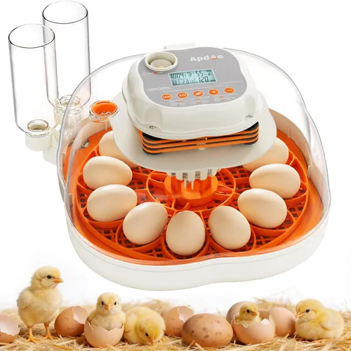 Miniatura 8 de APDOE Incubadoras de huevos para incubar huevos, control de temperatura y humedad, giro automático de huevos, vela de huevos, botella de agua