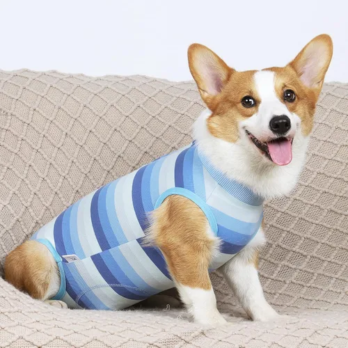 Miniatura 6 de Coppthinktu Traje de recuperación para perros, mameluco para cirugía, traje de recuperación de cirugía para perros pequeños y medianos, collar
