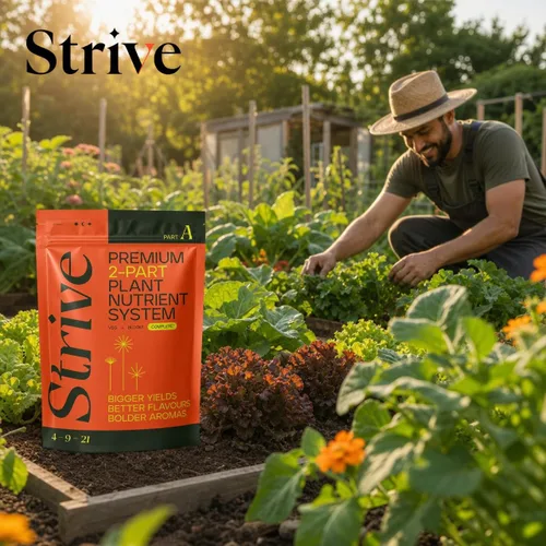 Miniatura 9 de Strive Fertilizer Part A Package – Nutrientes hidropónicos generales Veg + Bloom – Alimento vegetal de primera calidad para interiores, exteriores