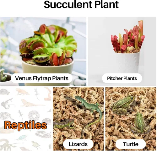 Miniatura 4 de 3 Oz de musgo esfagno para orquídeas - Sukh Musgo de turba esfagno para plantas, fibra larga, mezcla para macetas de orquídeas de fibra larga