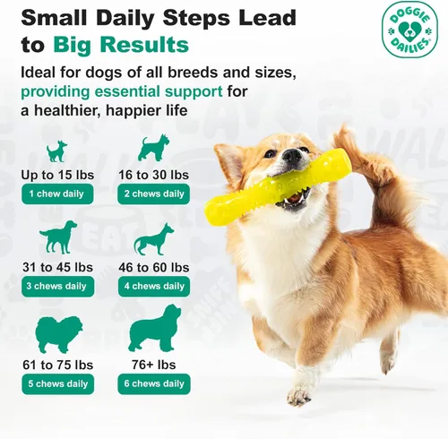 Miniatura 3 de Doggie Dailies, suplemento para cadera y articulaciones para perros, glucosamina y condroitina, masticables premium para cadera y articulaciones