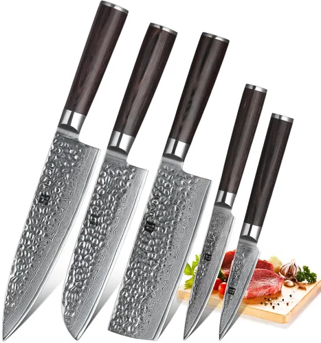 XINZUO Juego de 5 cuchillos de corte de cocina, hoja de damasco martillada de 67 capas, juego de cuchillos de chef afilados de estilo japonés con