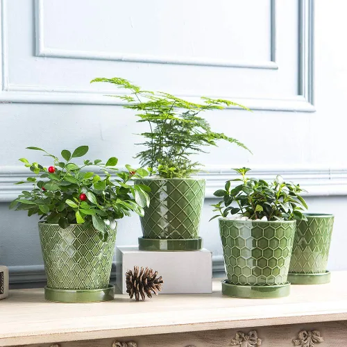 Miniatura 6 de Macetas de cerámica EFISPSS, macetas de 5 pulgadas con agujeros de drenaje y bandeja de cerámica, diseño en relieve para plantas de flores, set