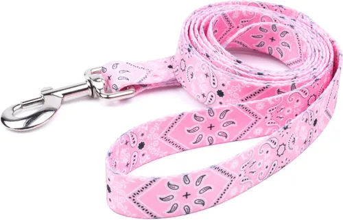 Miniatura 6 de Country Brook Design® Correa para perro Native Arizona de 1 pulgada - 6 pies Arizona nativa