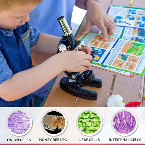 Miniatura 7 de AmScope M30-ABS-KT1-WM 120X-240X-300X-480X-600X-1200X Kit educativo de microscopio compuesto para niños con brazo metálico + libro