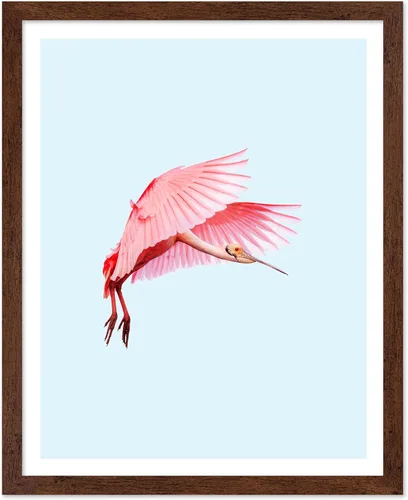 Miniatura 42 de Poster Master Vintage James Audubon Póster - Impresión Retro de Cuervo - Arte de Aves de América - Arte de Aves - Regalo para Hombres, Mujeres