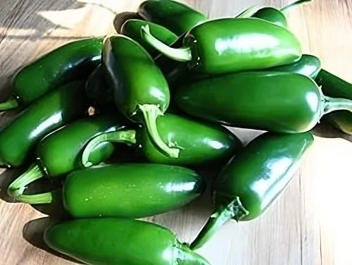 Miniatura 3 de Pimienta caliente Jalapeno Semillas de hortalizas de M Great Heirloom por semillas Unido