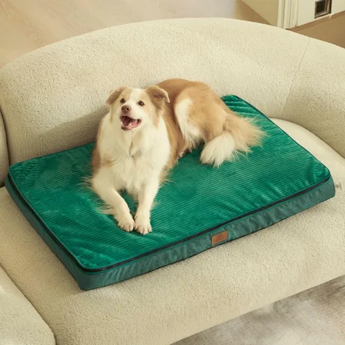 Miniatura 22 de LIORCE Cama grande para perros de espuma viscoelástica, camas ortopédicas de 4 pulgadas de grosor para perros grandes, cama impermeable para perros