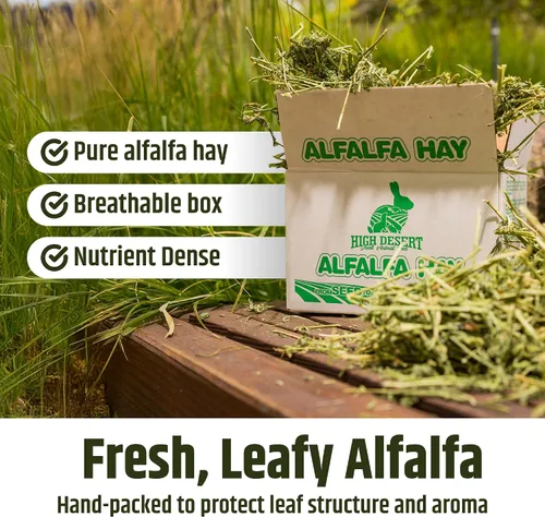 Miniatura 6 de High Desert Heno de alfalfa, alimento de hojas blandas rico en proteínas para animales jóvenes en crecimiento, alimento natural para conejos y heno