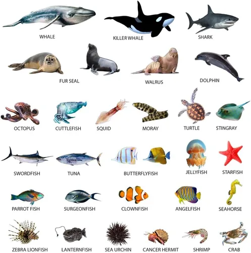 Miniatura 7 de Imanes de nevera para niños pequeños – magdum – 30 imanes de animales marinos para refrigerador – Imanes reales de animales del océano para niños
