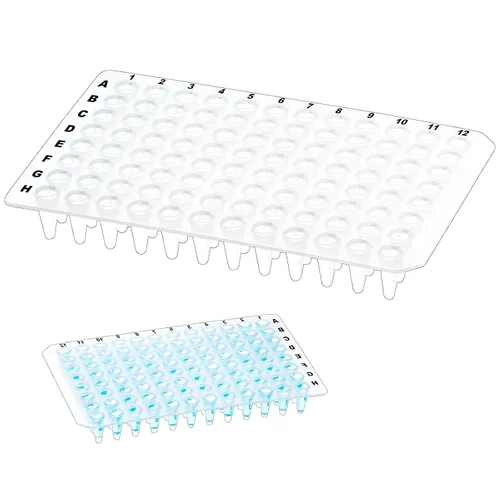 Placas PCR de 0.0 fl oz de 96 pocillos, sin faldón, placa PCR de polipropileno transparente, 10 placas de tubos de pared ultrafinos, sin ADNasa/RNasa