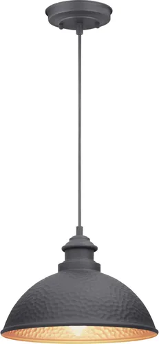Miniatura 2 de Progress Lighting Englewood Collection - Farol colgante para exteriores con 1 luz, color negro