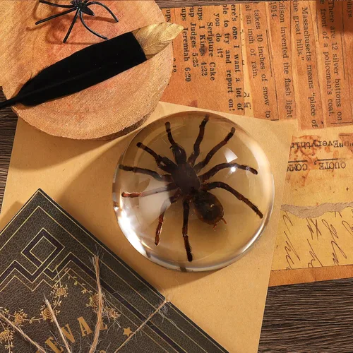 Miniatura 10 de Espécimen de esqueleto de murciélago real en resina para educación científica en el aula, gran regalo para fanáticos de la taxidermia, cráneo